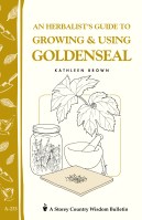 An Herbalist’s Guide to Growing & Using Goldenseal